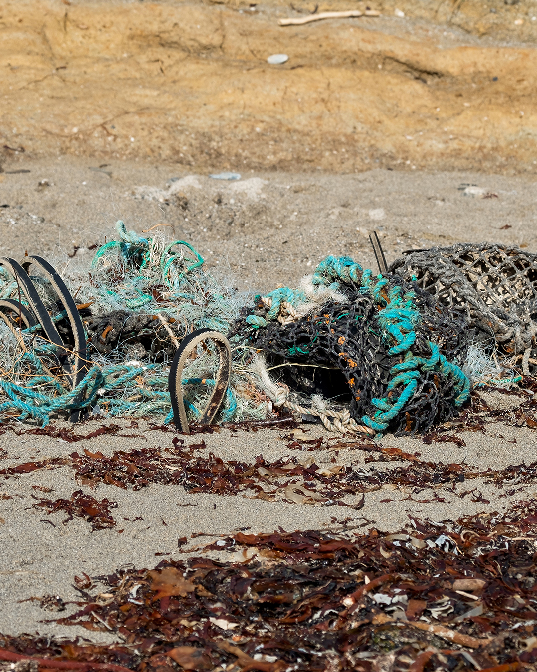 The Cornish Oven Ghost Gear Fishing Net on Beach Portrait